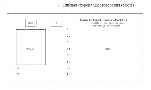 Лицьова сторона нового водійського посвідчення з мікрочіпом (ескіз)