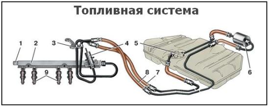 1 - штуцер для контролю тиску палива;  2 - рампа форсунок;  3 - кронштейн;  4 - регулятор тиску палива;  5 - електробензонасос;  6 - паливний фільтр;  7 - зливний паливопровід;  8 - подає паливопровід;  9 - форсунки